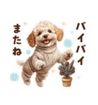冬のトイプードル（個別スタンプ：38）
