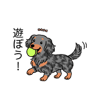 名前入りダックスロングシルバーダップル②（個別スタンプ：1）