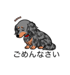 名前入りダックスロングシルバーダップル②（個別スタンプ：2）