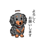 名前入りダックスロングシルバーダップル②（個別スタンプ：4）