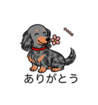 名前入りダックスロングシルバーダップル②（個別スタンプ：5）