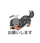 名前入りダックスロングシルバーダップル②（個別スタンプ：7）