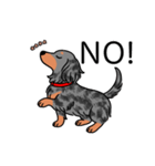 名前入りダックスロングシルバーダップル②（個別スタンプ：8）