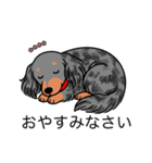 名前入りダックスロングシルバーダップル②（個別スタンプ：9）