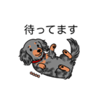 名前入りダックスロングシルバーダップル②（個別スタンプ：10）