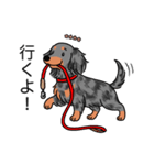 名前入りダックスロングシルバーダップル②（個別スタンプ：11）