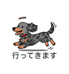 名前入りダックスロングシルバーダップル②（個別スタンプ：13）