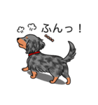 名前入りダックスロングシルバーダップル②（個別スタンプ：14）