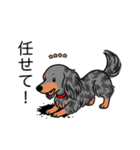 名前入りダックスロングシルバーダップル②（個別スタンプ：15）