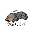 名前入りダックスロングシルバーダップル②（個別スタンプ：16）