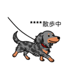 名前入りダックスロングシルバーダップル②（個別スタンプ：17）