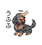 名前入りダックスロングシルバーダップル②（個別スタンプ：19）