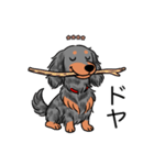 名前入りダックスロングシルバーダップル②（個別スタンプ：21）