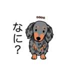 名前入りダックスロングシルバーダップル②（個別スタンプ：22）