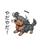 名前入りダックスロングシルバーダップル②（個別スタンプ：23）