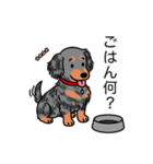 名前入りダックスロングシルバーダップル②（個別スタンプ：24）