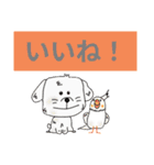 犬くん鳥くん！（個別スタンプ：4）