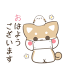 飛び出す！柴犬とシマエナガ 体調不良（個別スタンプ：1）