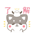 飛び出す！柴犬とシマエナガ 体調不良（個別スタンプ：3）