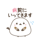 飛び出す！柴犬とシマエナガ 体調不良（個別スタンプ：9）