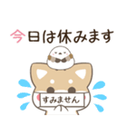 飛び出す！柴犬とシマエナガ 体調不良（個別スタンプ：15）