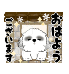 背景が動くB＆Wのシーズー犬 2025 「冬」（個別スタンプ：1）