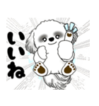 背景が動くB＆Wのシーズー犬 2025 「冬」（個別スタンプ：3）