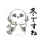 背景が動くB＆Wのシーズー犬 2025 「冬」（個別スタンプ：5）