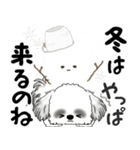 背景が動くB＆Wのシーズー犬 2025 「冬」（個別スタンプ：6）