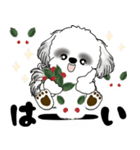 背景が動くB＆Wのシーズー犬 2025 「冬」（個別スタンプ：7）