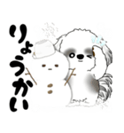 背景が動くB＆Wのシーズー犬 2025 「冬」（個別スタンプ：8）