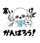 背景が動くB＆Wのシーズー犬 2025 「冬」（個別スタンプ：9）