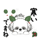 背景が動くB＆Wのシーズー犬 2025 「冬」（個別スタンプ：10）