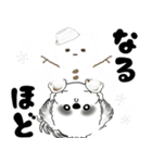 背景が動くB＆Wのシーズー犬 2025 「冬」（個別スタンプ：11）