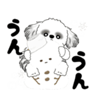 背景が動くB＆Wのシーズー犬 2025 「冬」（個別スタンプ：12）