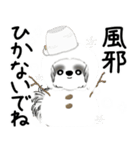 背景が動くB＆Wのシーズー犬 2025 「冬」（個別スタンプ：13）