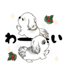 背景が動くB＆Wのシーズー犬 2025 「冬」（個別スタンプ：15）