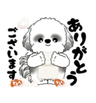 背景が動くB＆Wのシーズー犬 2025 「冬」（個別スタンプ：16）