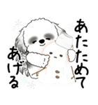 背景が動くB＆Wのシーズー犬 2025 「冬」（個別スタンプ：20）