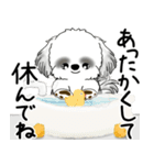 背景が動くB＆Wのシーズー犬 2025 「冬」（個別スタンプ：21）