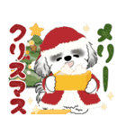 背景が動くB＆Wのシーズー犬 2025 「冬」（個別スタンプ：23）