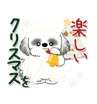 背景が動くB＆Wのシーズー犬 2025 「冬」（個別スタンプ：24）