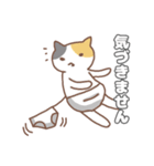 正直な猫・ねこねこの住み家シリーズ（個別スタンプ：12）