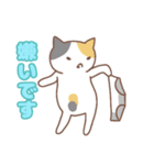 正直な猫・ねこねこの住み家シリーズ（個別スタンプ：17）