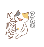 正直な猫・ねこねこの住み家シリーズ（個別スタンプ：24）