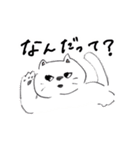 しろいねこのスタンプ  日常編（個別スタンプ：31）