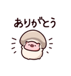 きのこのぶた（個別スタンプ：5）