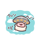 きのこのぶた（個別スタンプ：19）