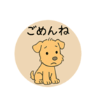 レークランドテリアのSANDYくん⭐︎（個別スタンプ：1）
