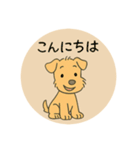 レークランドテリアのSANDYくん⭐︎（個別スタンプ：2）